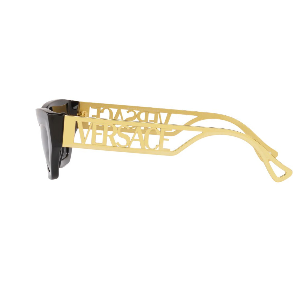 Versace Women's VE4432U Cat Eye Standard Sunglasses