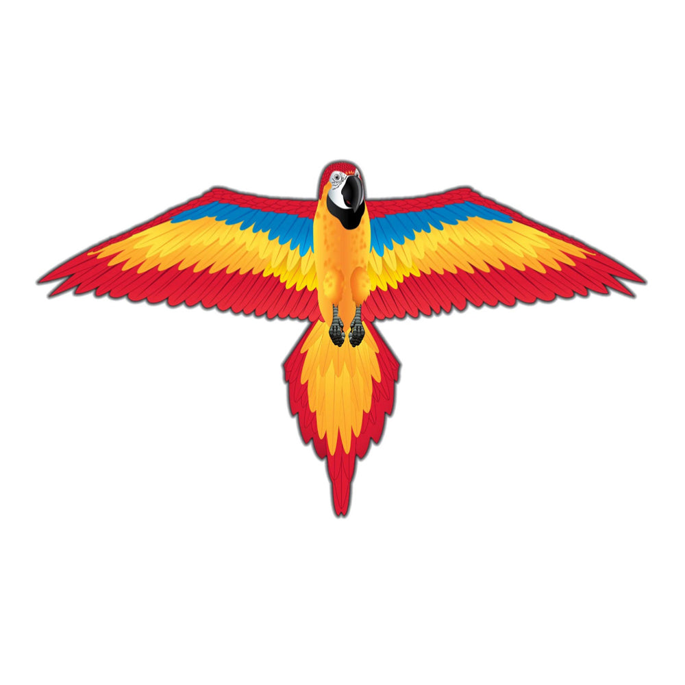 X-Kites WindZone 40" 2D Nylon Kites - Assortment