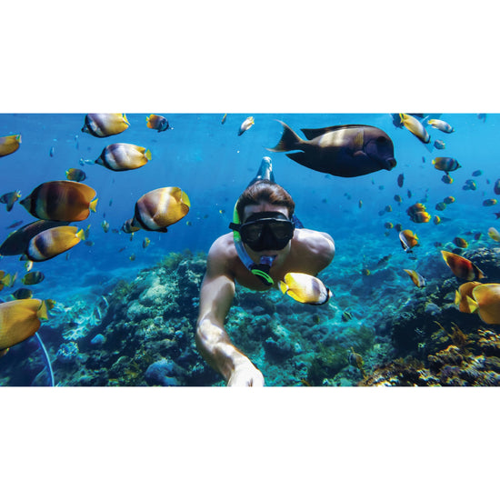 GoPro ADDIV/001 Waterproof Protective Housing for HERO 11/10/9 - Black - Curacao