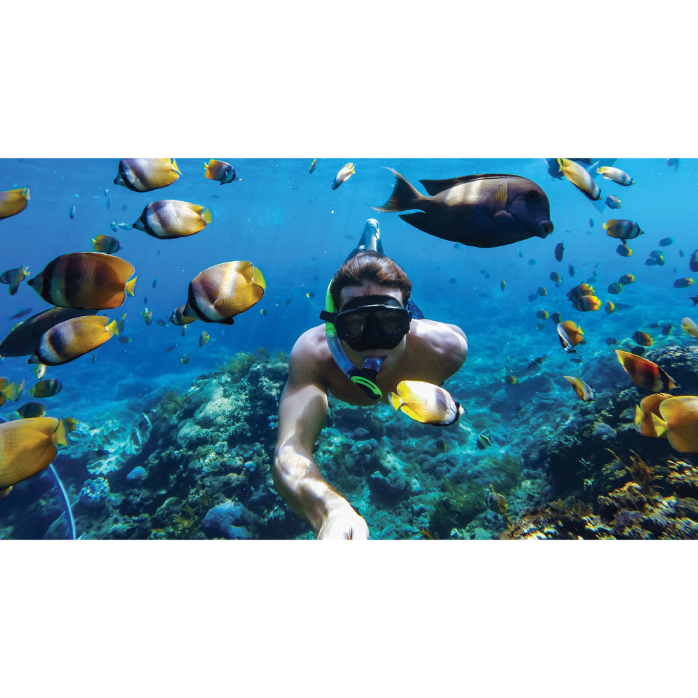 GoPro ADDIV/001 Waterproof Protective Housing for HERO 11/10/9 - Black - Curacao