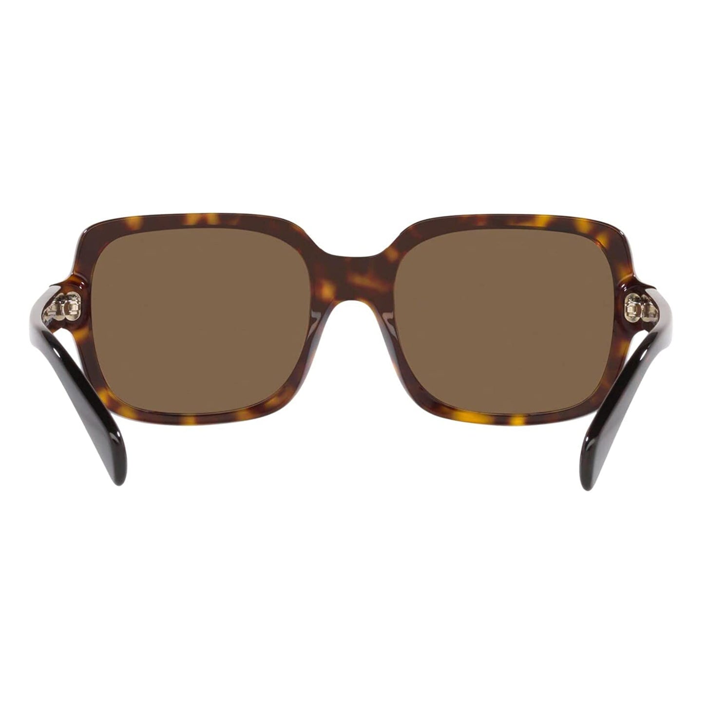 Emporio Armani Women's EA4195 Square Standard Sunglasses