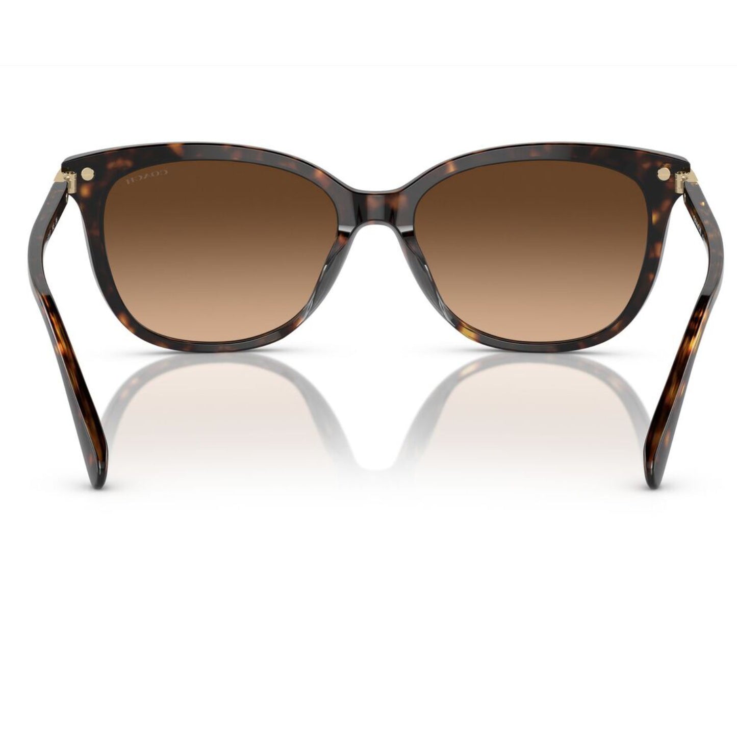 Coach Women's HC8378U51207 Cat Eye Gradient Sunglasses