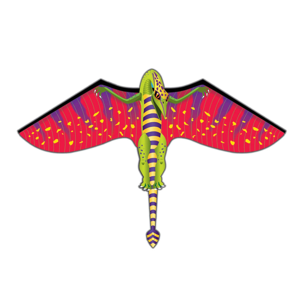 X-Kites WindZone 40" 2D Nylon Kites - Assortment