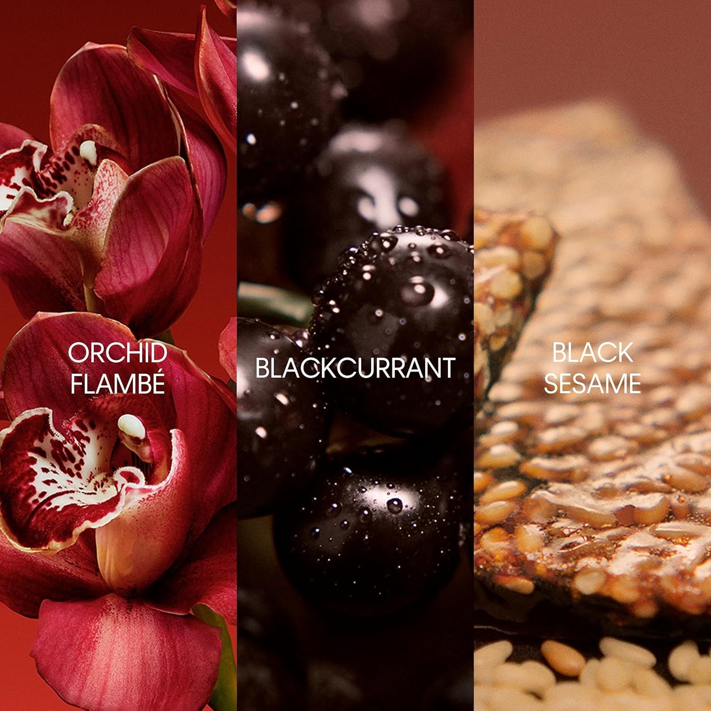 Calvin Klein My Euphoria Eau de Parfum 2pc Set