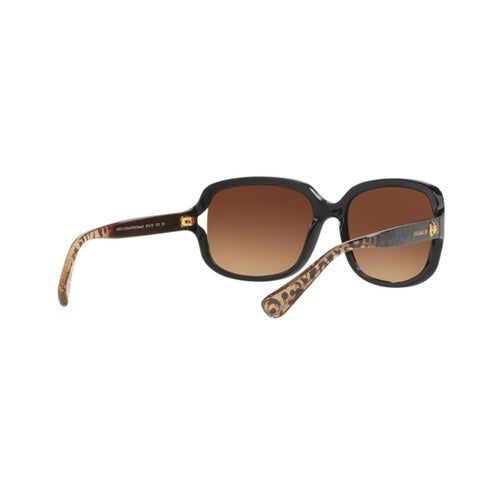 Coach HC8169 Sunglasses - Black-Wild Beast/Brown Gradient - Curacao