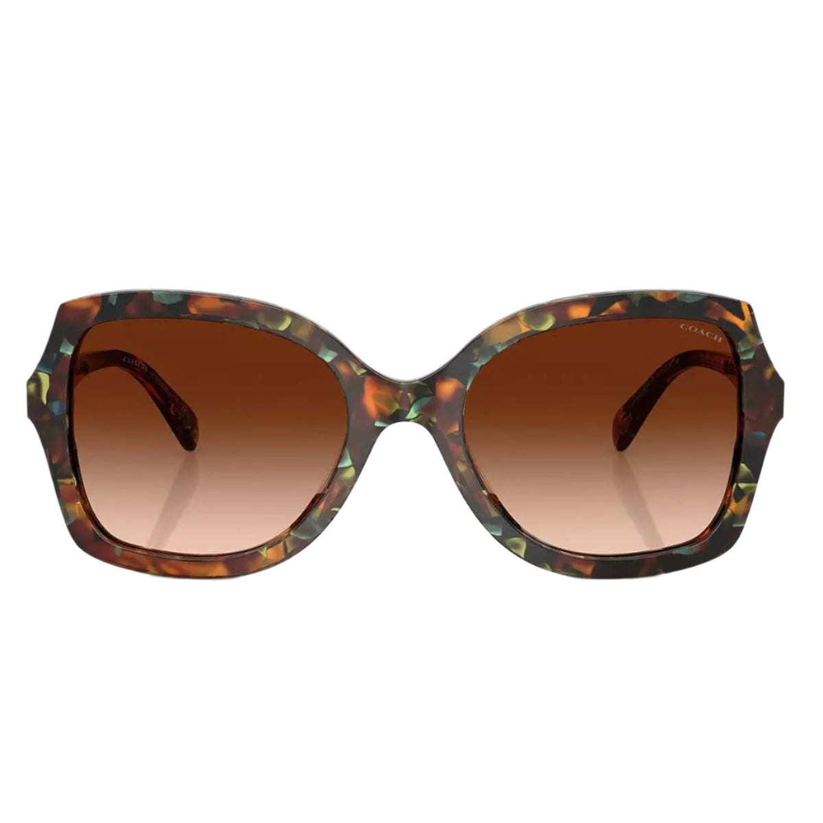 Coach HC8410U58447 Women's Butterfly Gradient Sunglasses