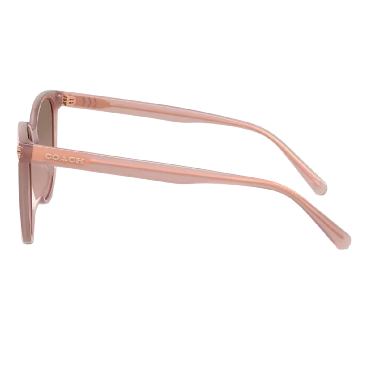 Coach HC8414BD5839 Women's Round Gradient Sunglasses