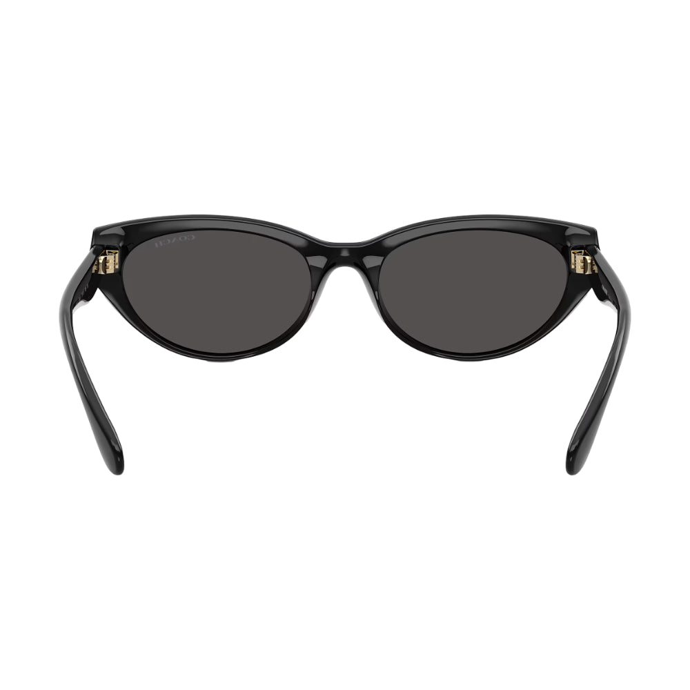Coach HC8456D Women's Pillow Solid Color Sunglasses