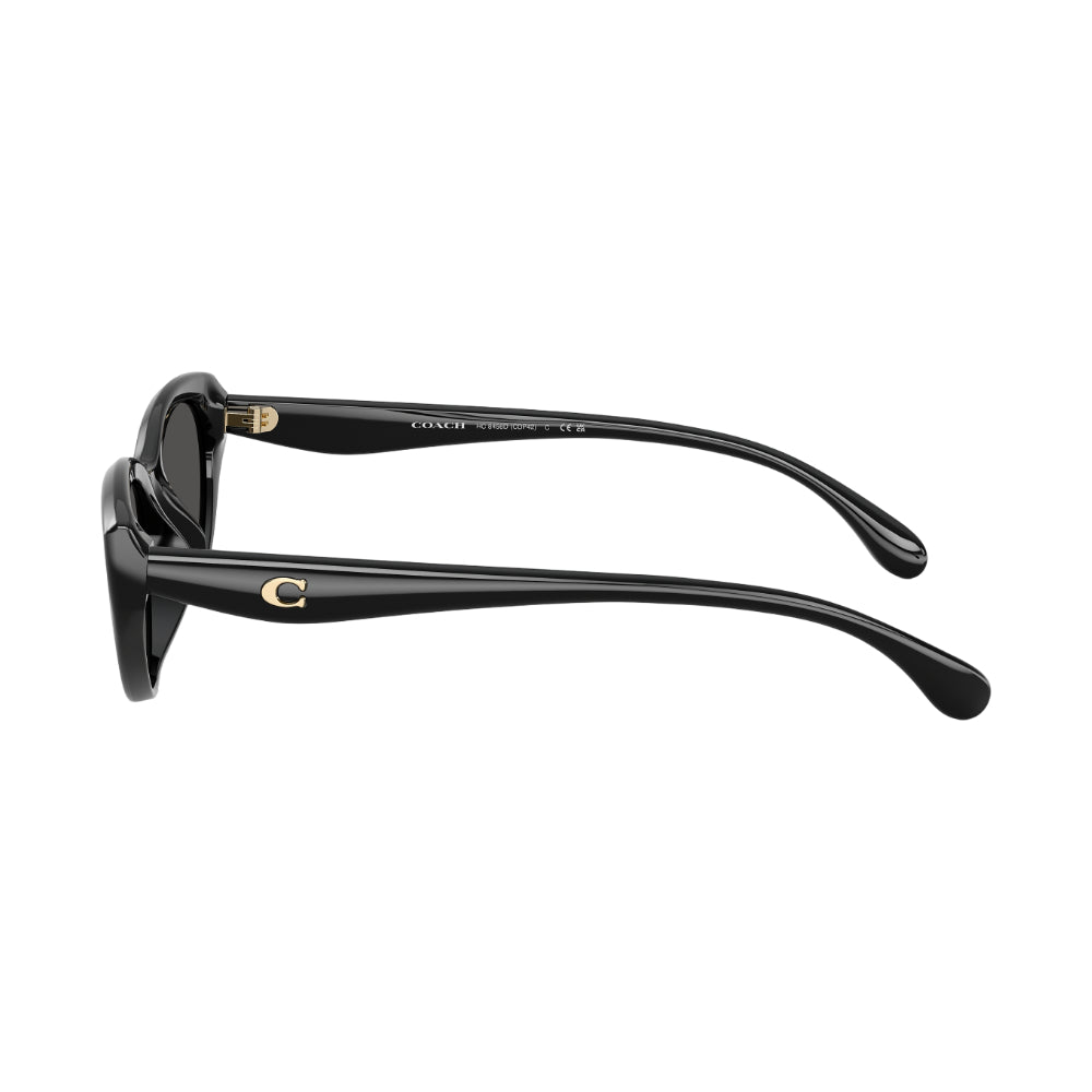 Coach HC8456D Women's Pillow Solid Color Sunglasses