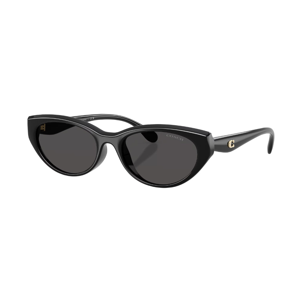 Coach HC8456D Women's Pillow Solid Color Sunglasses