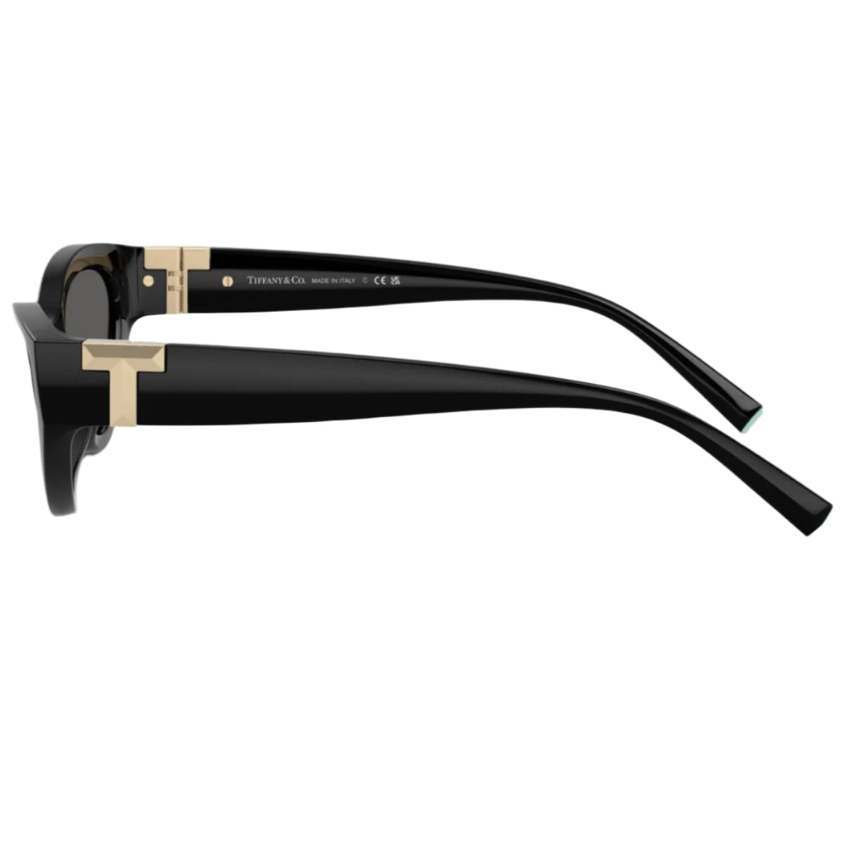 Tiffany & Co. TF4225U8001S Woman's Oval Solid Color Sunglasses