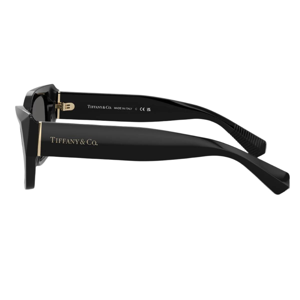 Tiffany & Co. TF42308001S4 Women's Cat Eye Solid Color Sunglasses