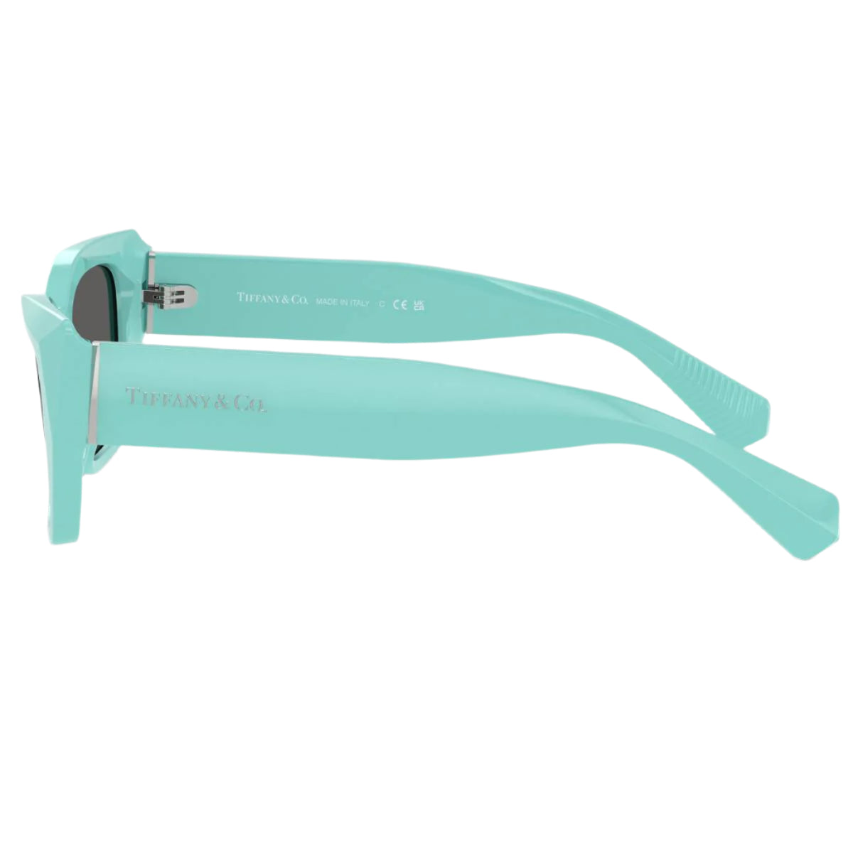 Tiffany & Co. TF42308388S4 Women's Cat Eye Solid Color Sunglasses