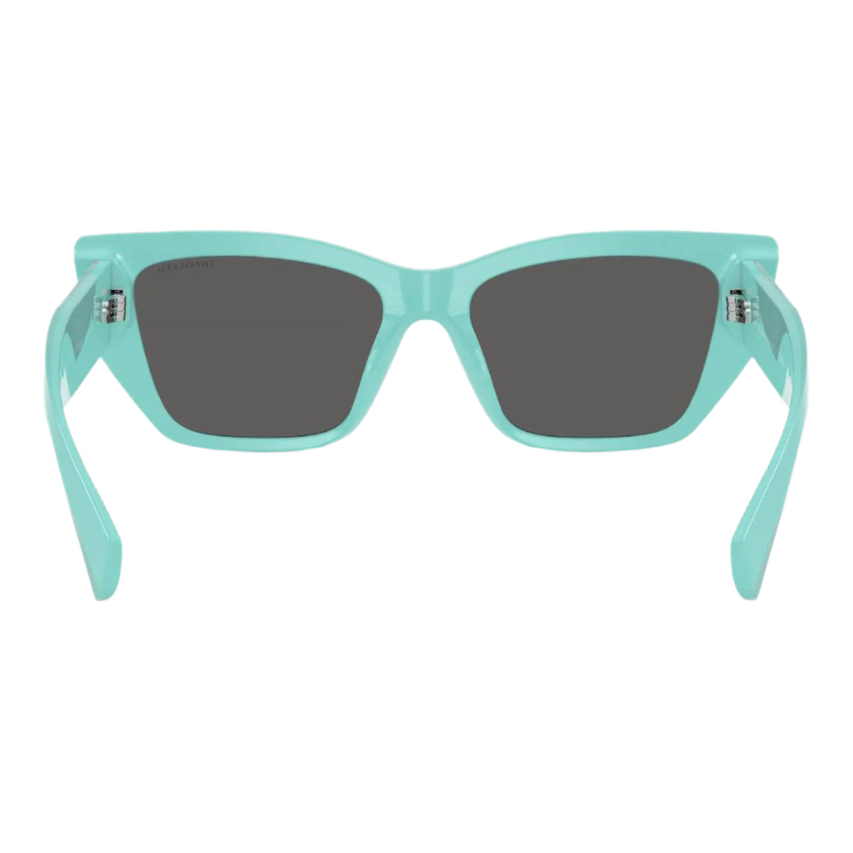 Tiffany & Co. TF42308388S4 Women's Cat Eye Solid Color Sunglasses