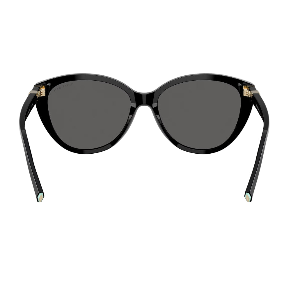 Tiffany & Co. TF4251 Women's Cat Eye Solid Color Sunglasses