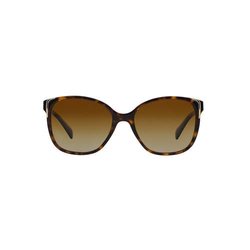 Prada Polarized Sunglasses - Havana / Brown Gradient - Curacao