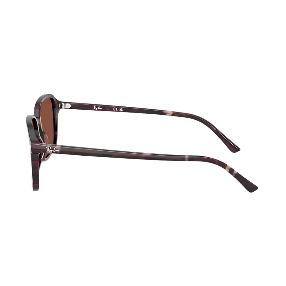 Ray-Ban Raimond RB2231 Unisex Square Solid Color Sunglasses