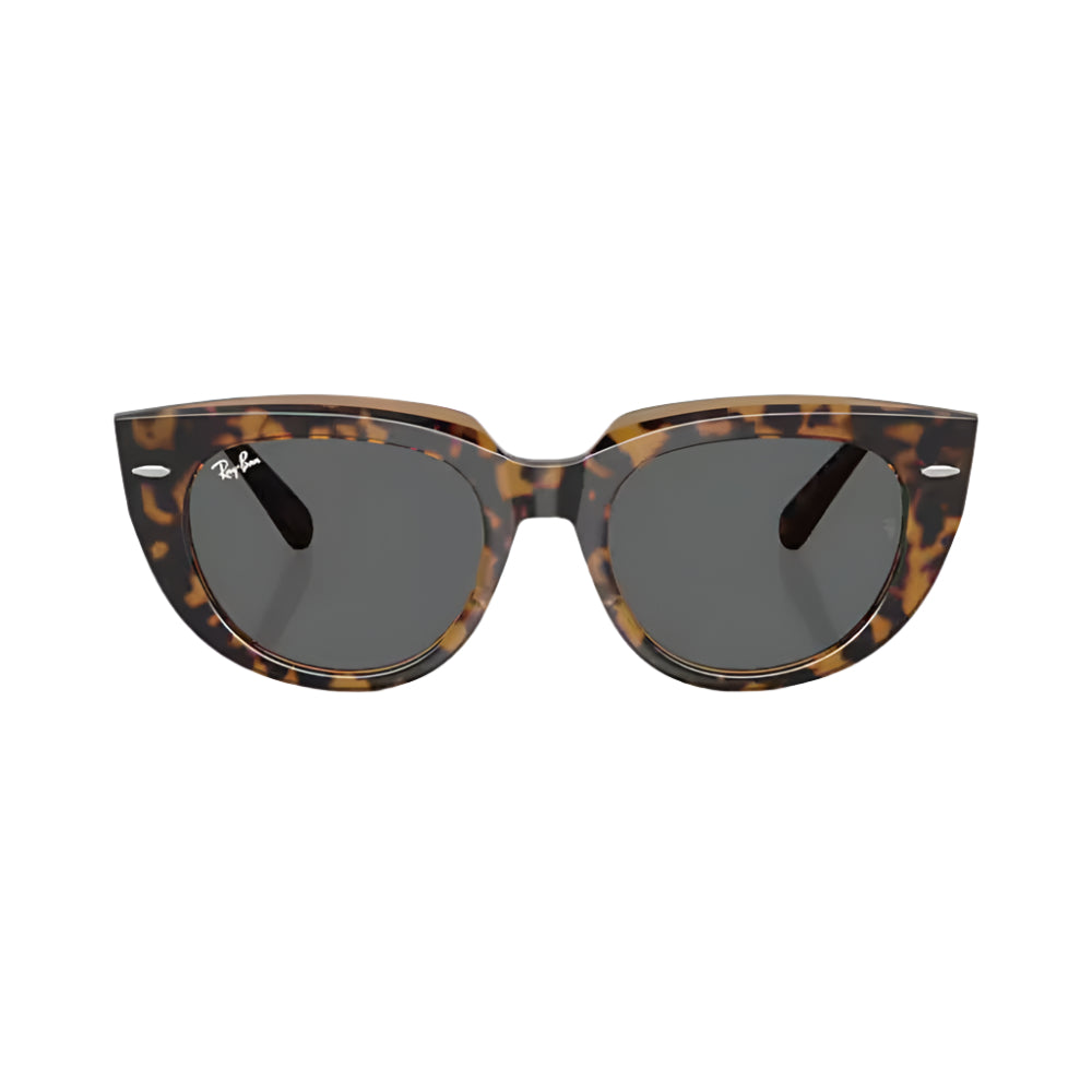 Ray-Ban Doreen RB2286 Women's Square Solid Color Sunglasses