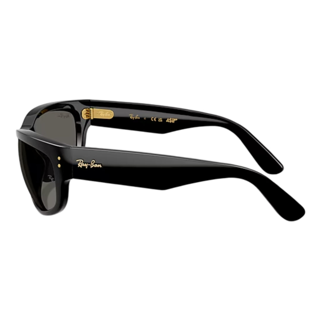 Ray-Ban RB2289 Mega Balorama Men's Pillow Solid Color Sunglasses