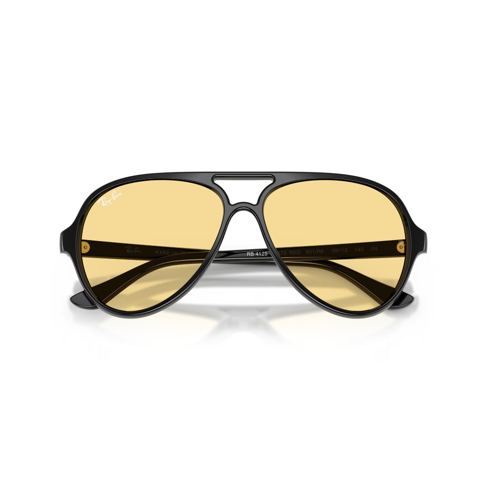 Ray-Ban RB4125 Men's Pilot Solid Color Sunglasses