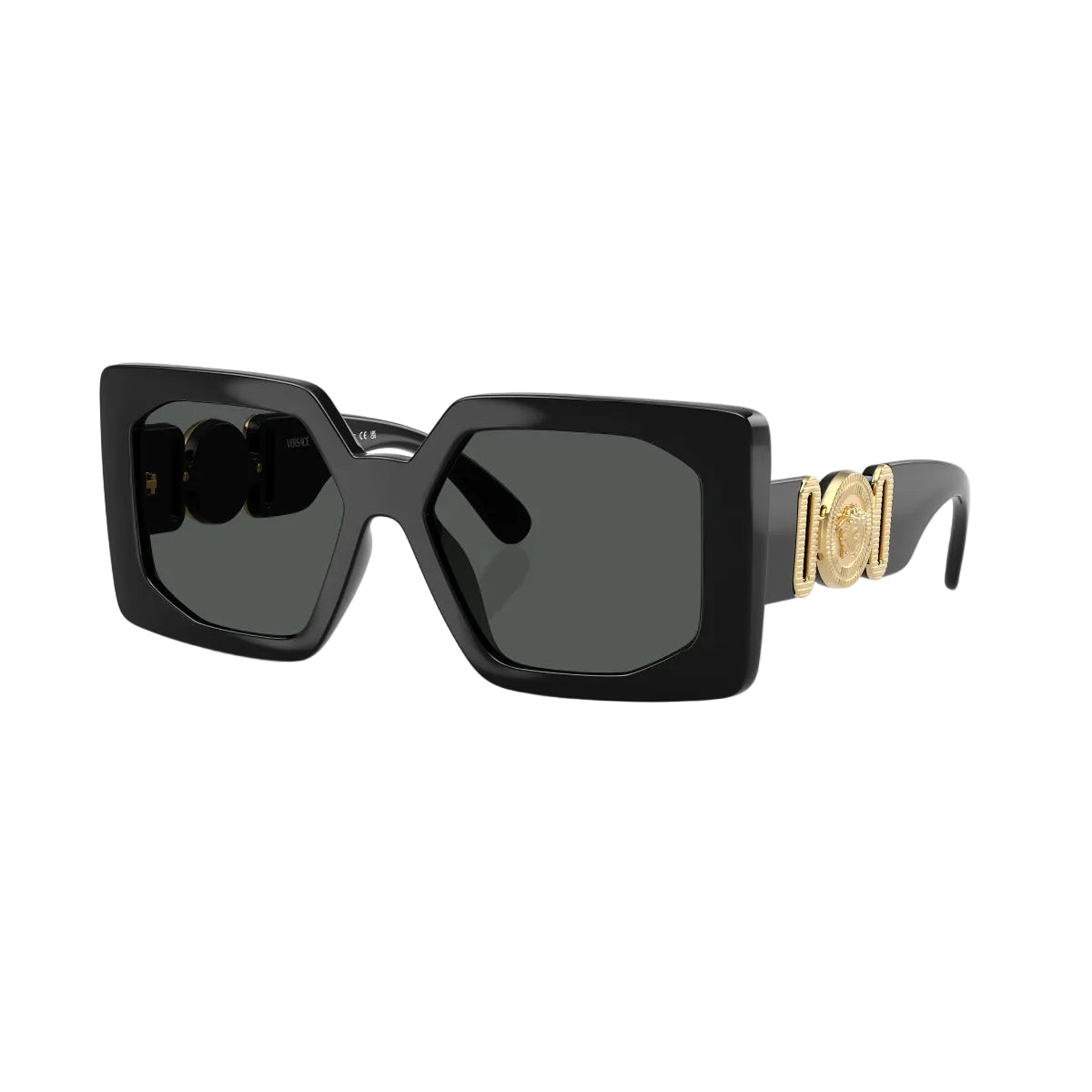 Versace Woman's VE4478U Square Solid Color Sunglasses