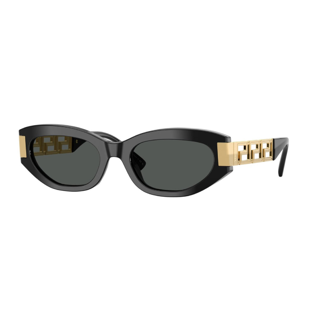 Versace VE4501 Women's Cat Eye Solid Color Sunglasses