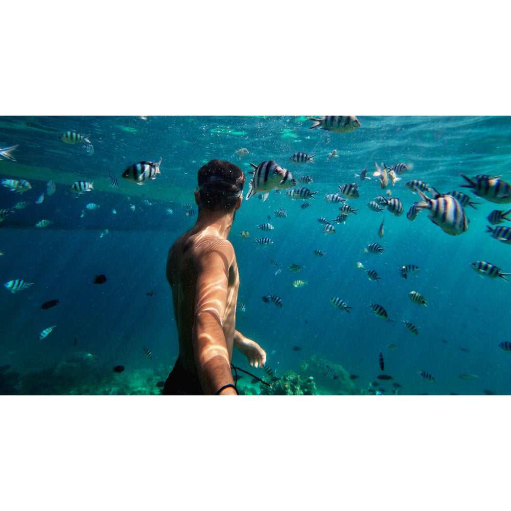 GoPro ADDIV/001 Waterproof Protective Housing for HERO 11/10/9 - Black - Curacao