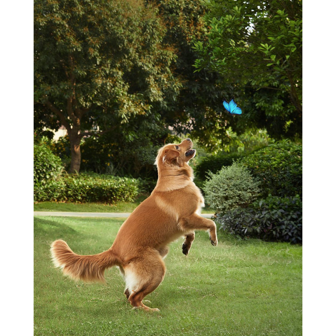 eufy Security T81241W1 SoloCam S40 Outdoor 2K HD Wireless Spotlight Camera with Night Vision - White/Black