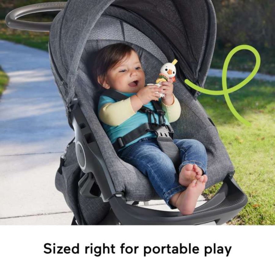 Juguete para bebé con actividad de motricidad fina Clack & Quack Goose de Fisher-Price, multicolor