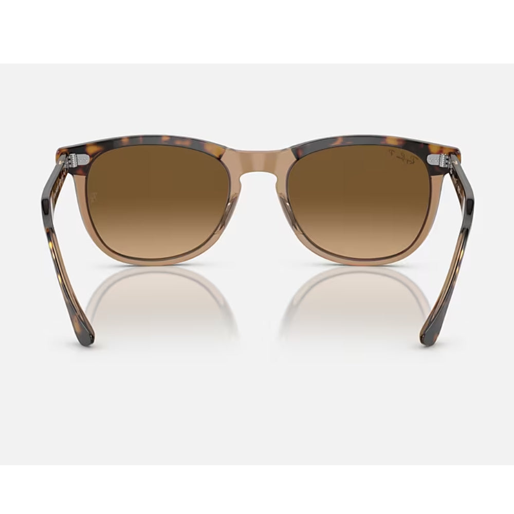 Ray-Ban Eagle Eye Unisex RB2398 Pillow Gradient Sunglasses