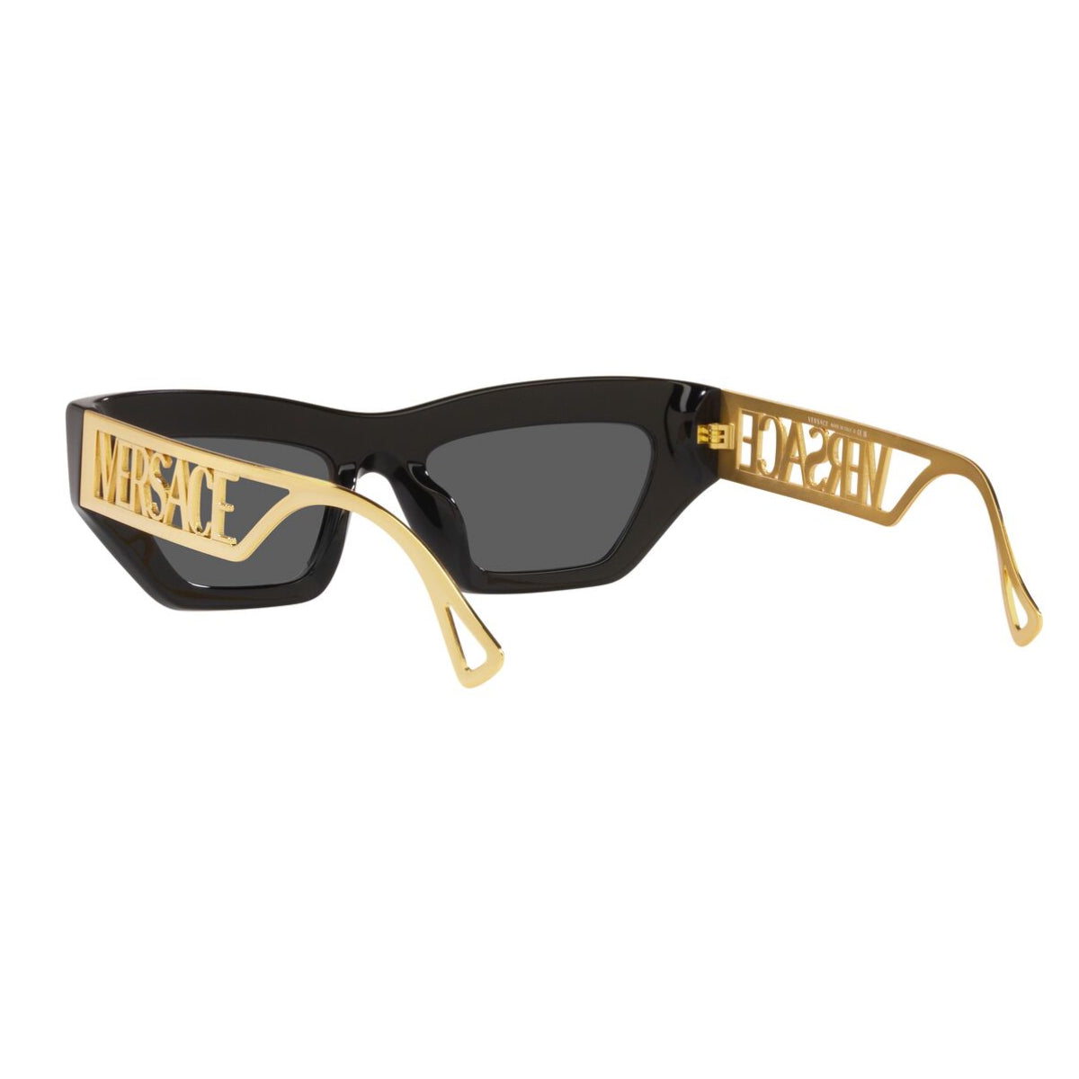 Versace Women's VE4432U Cat Eye Standard Sunglasses