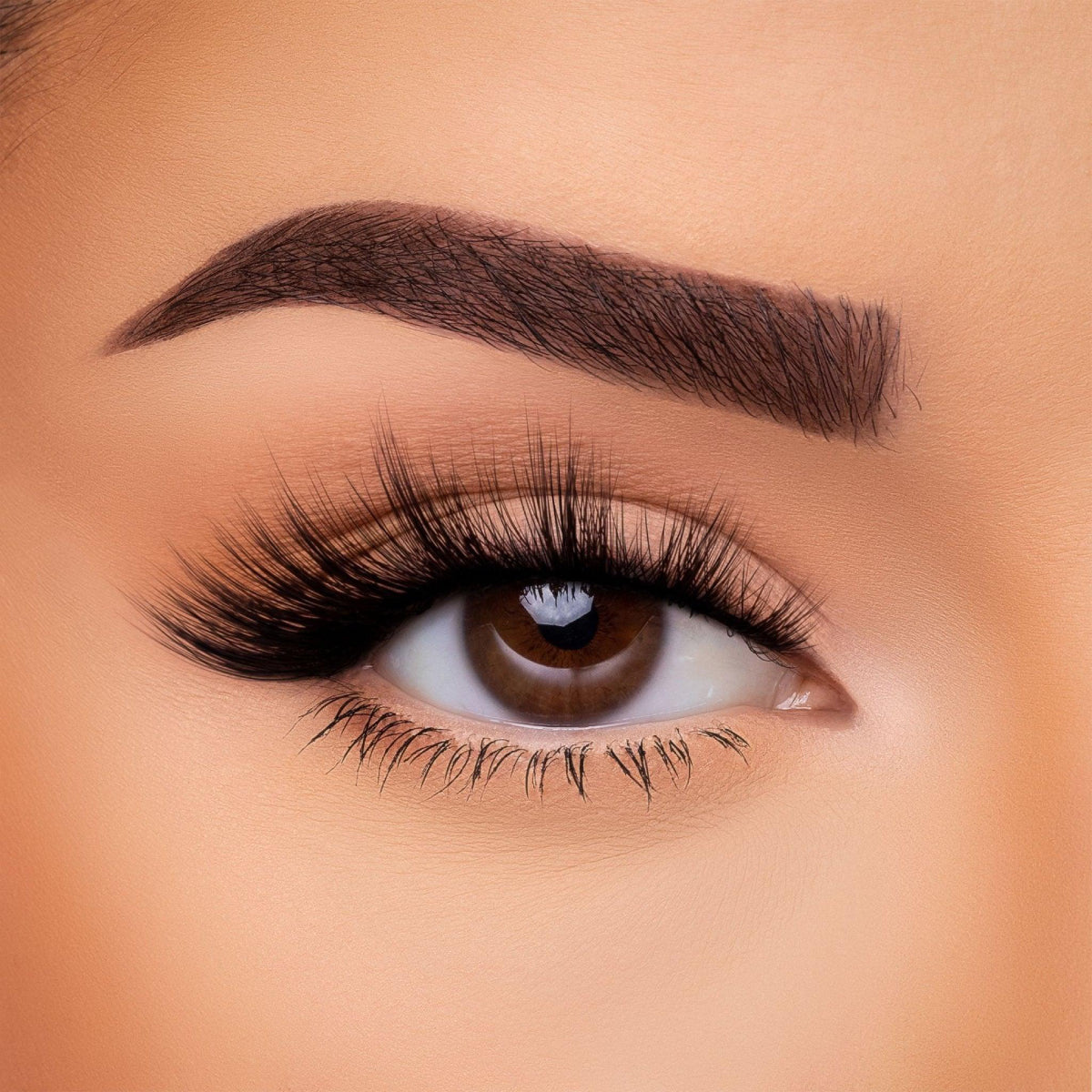 Beauty Creations I Can Afford It 3D Silk EyeLashes - Black