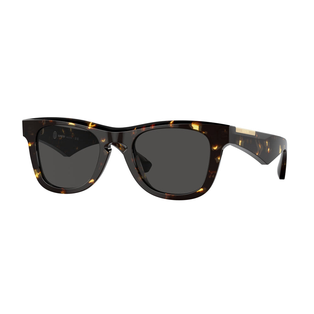Burberry BE4426504106 Men's Square Solid Color Sunglasses