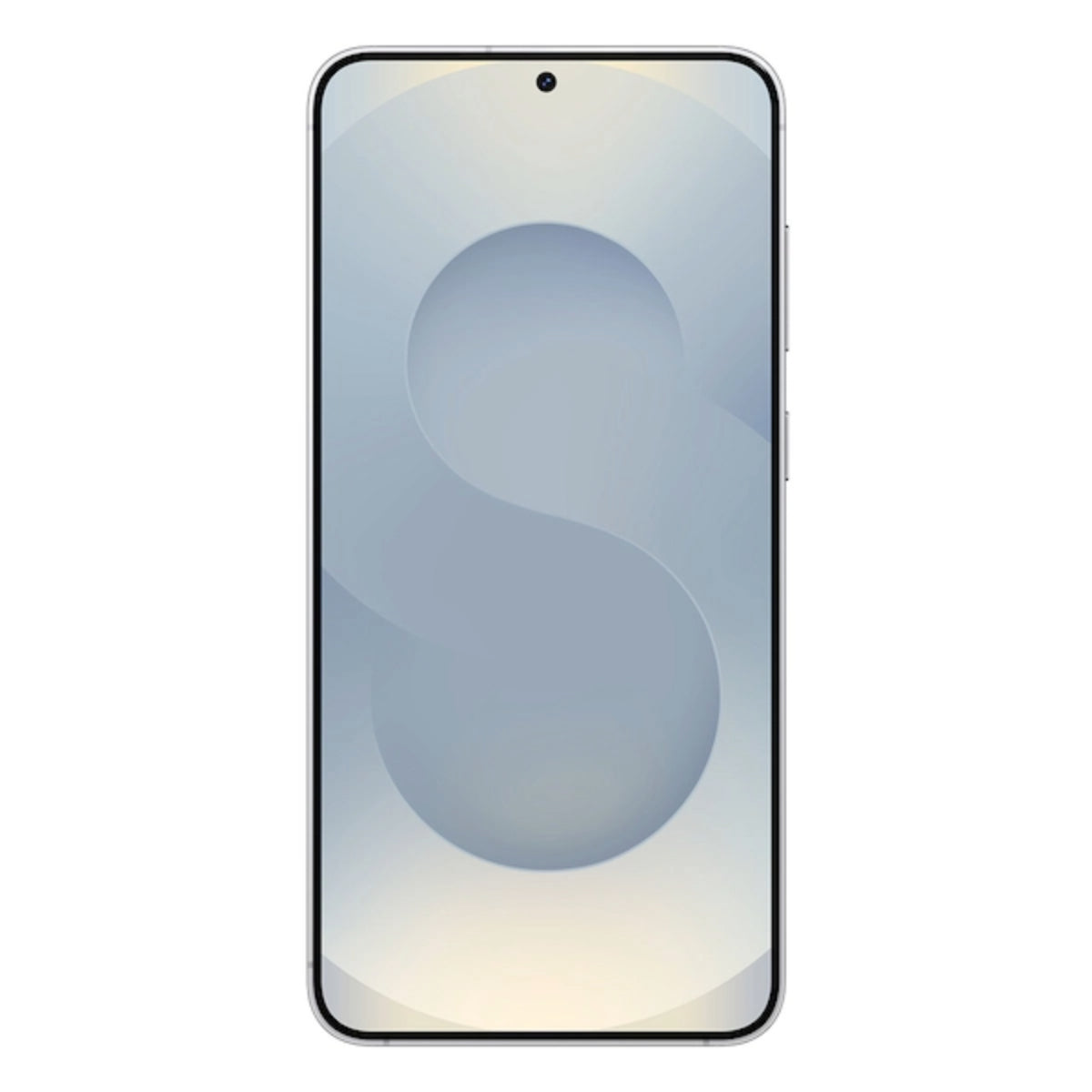 Samsung Galaxy S25+ 256GB Smartphone - Silver