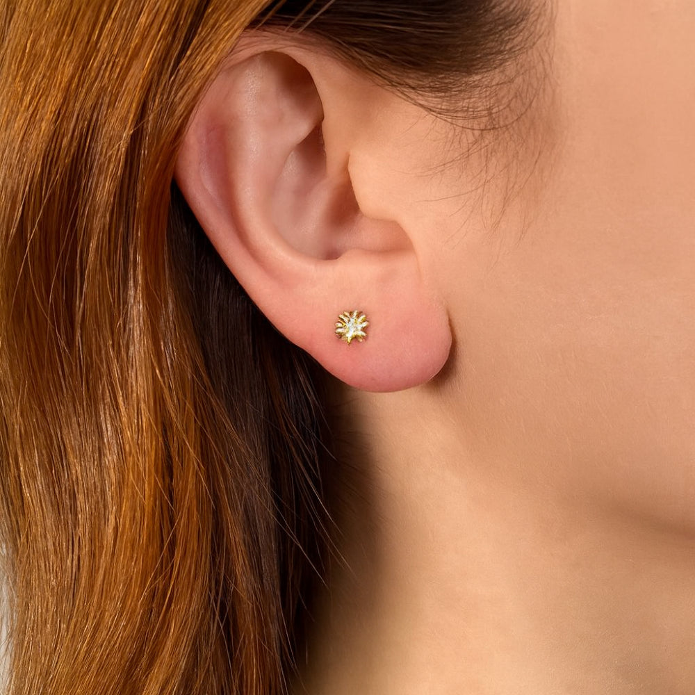 Shy Creation Kate 0.04 ct. Diamond Flower Stude Earrings in 14K Yellow Gold