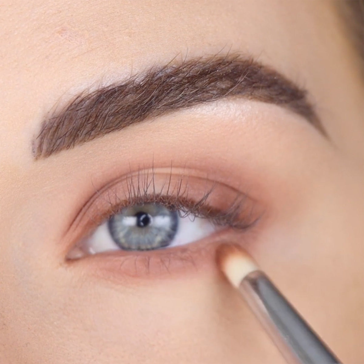 theBalm Male Order First Class Eyeshadow Palette