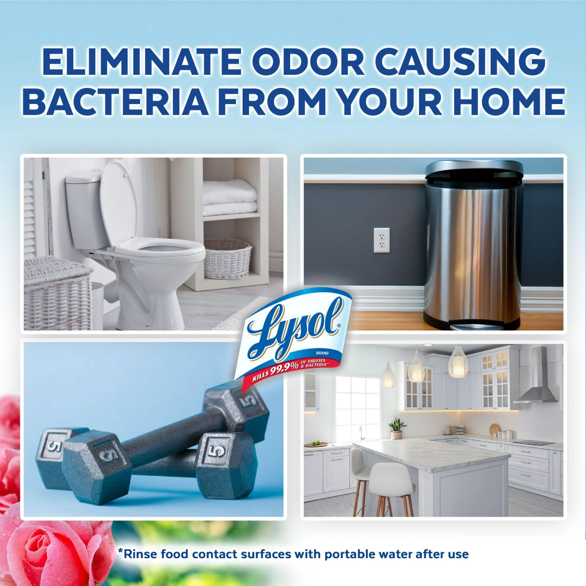 Lysol NeutraAir 10 oz 2-In-1 Disinfectant Spray