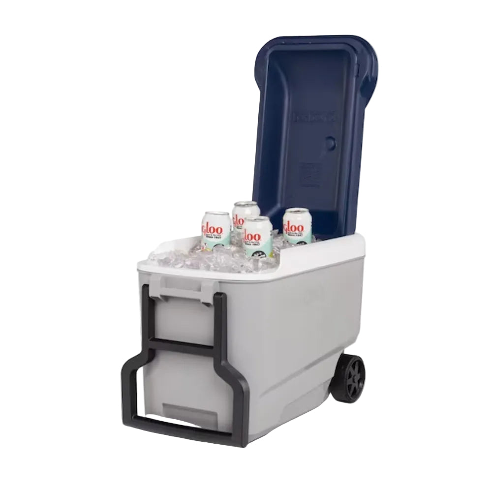 Nevera portátil Igloo 00034814 Maxcold de 40 cuartos de galón, color gris ceniza
