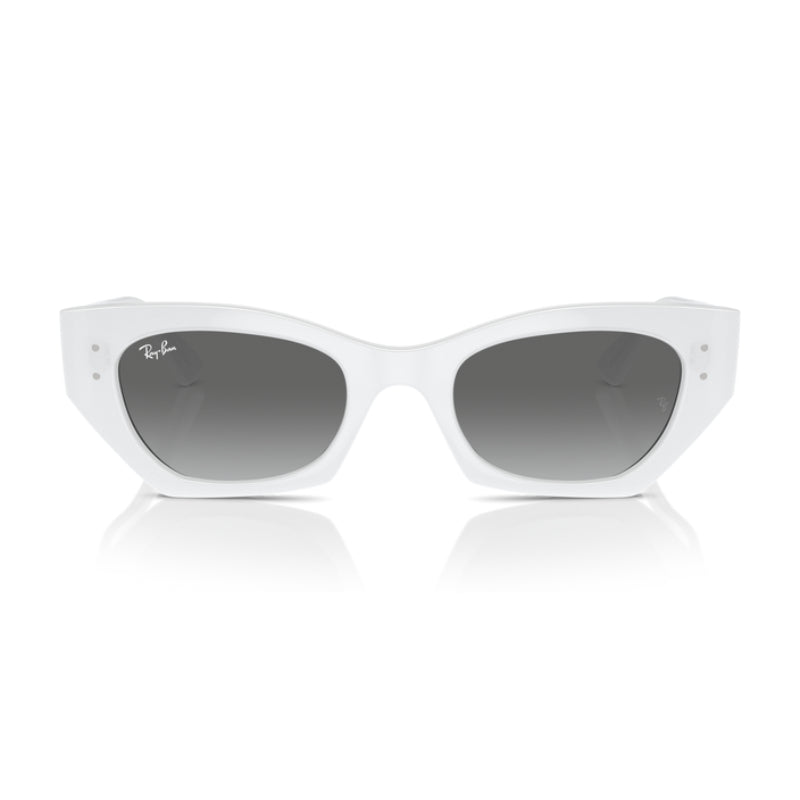 Ray-Ban Zena Bio-Based RB4430526759 Unisex Irregular Solid Color Sunglasses