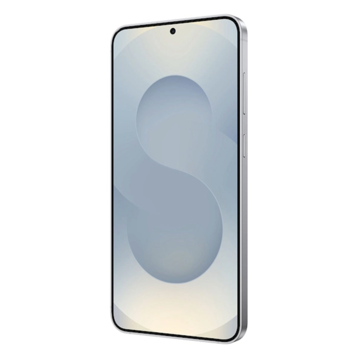 Samsung Galaxy S25+ 256GB Smartphone - Silver