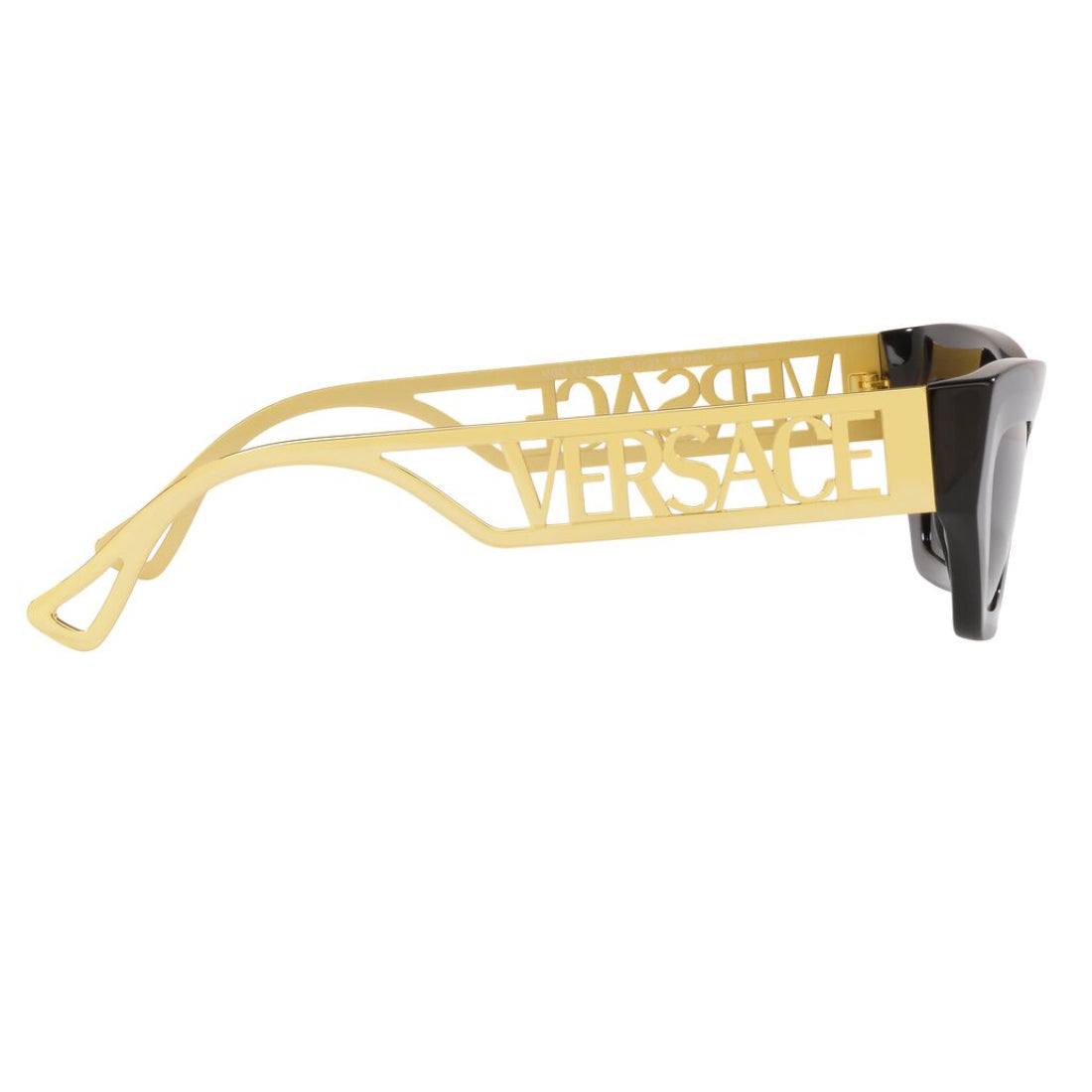 Versace Women's VE4432U Cat Eye Standard Sunglasses