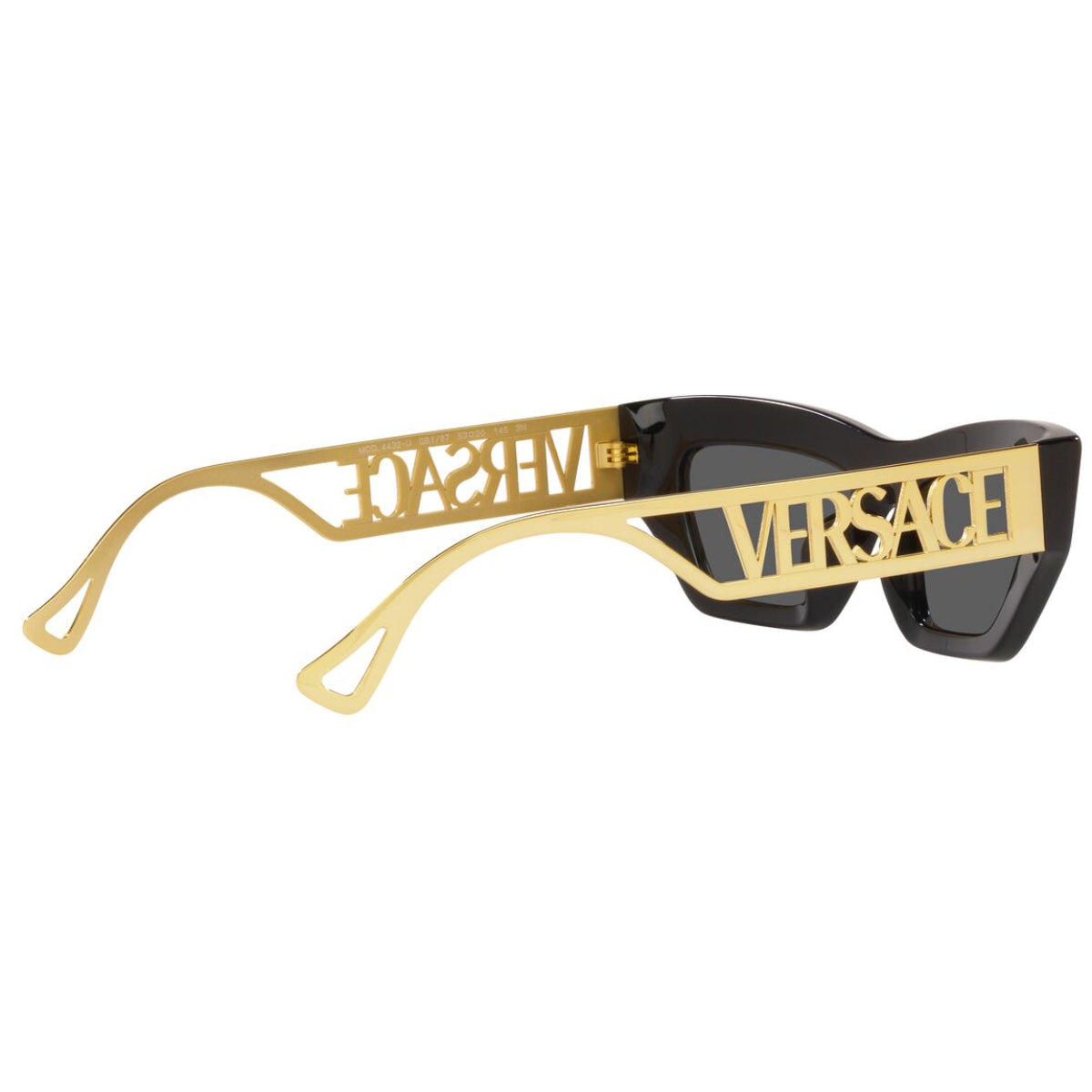 Versace Women's VE4432U Cat Eye Standard Sunglasses