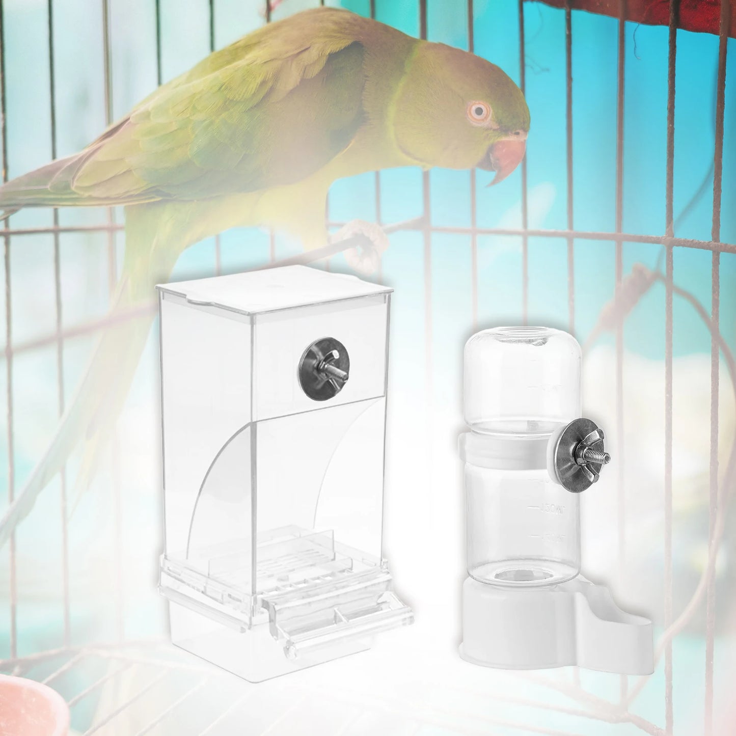 Automatic Bird Feeder Parrot Water Dispenser Cage Accessories for Small Medium Parakeets Food Container Bird Feeding Supplies