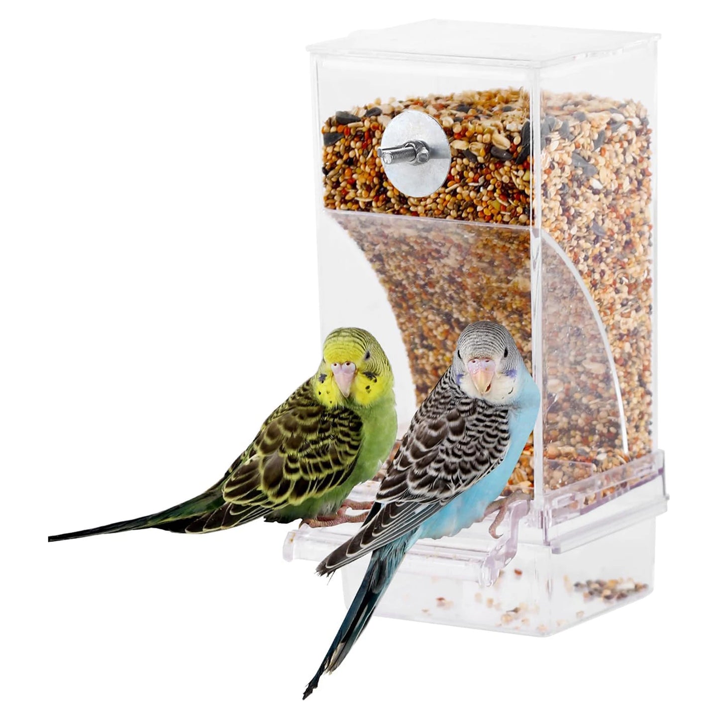 Automatic Bird Feeder Parrot Water Dispenser Cage Accessories for Small Medium Parakeets Food Container Bird Feeding Supplies