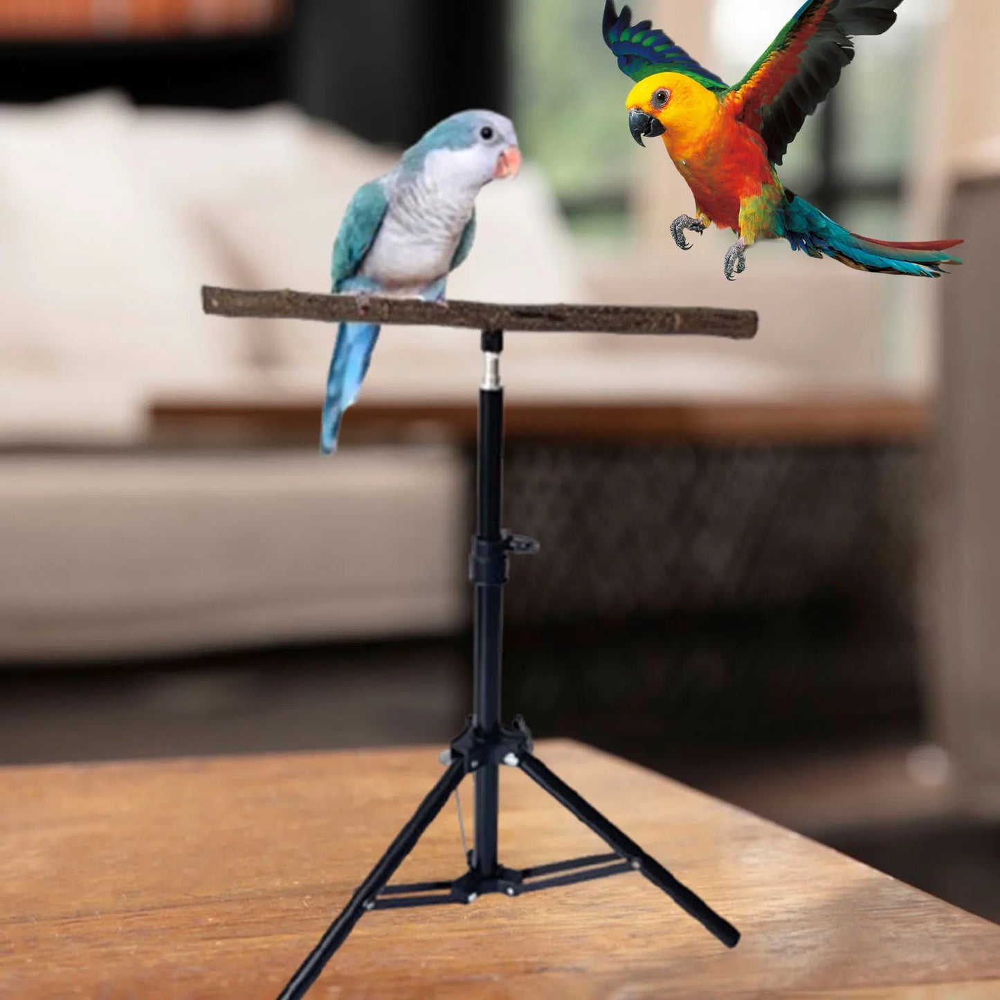 Wooden Parrot Perch with Height Adjustable Tripod Stable Exercise Toy Parrot Floor Stand Pet Supplies for Finches Cockatiels