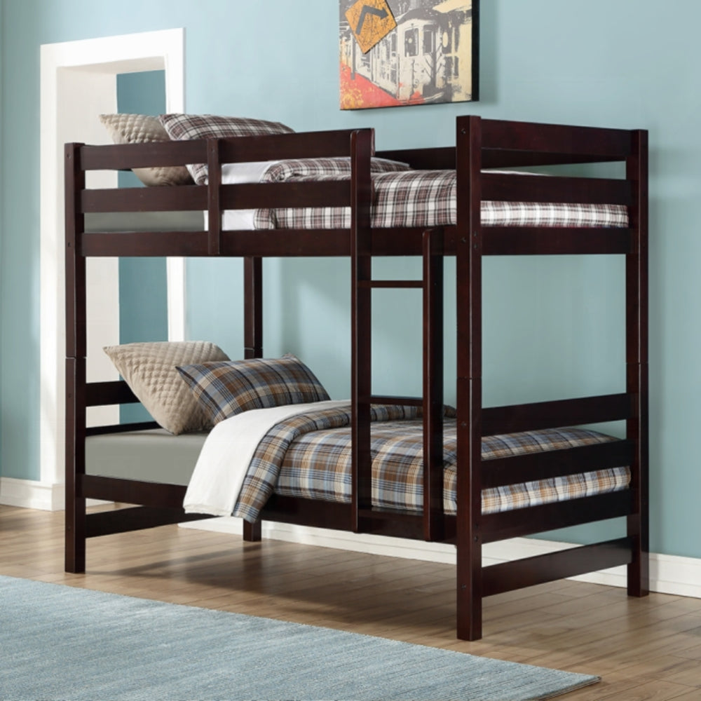 Apollo Twin over Twin Bunk Bed by Acme Furniture- Brown