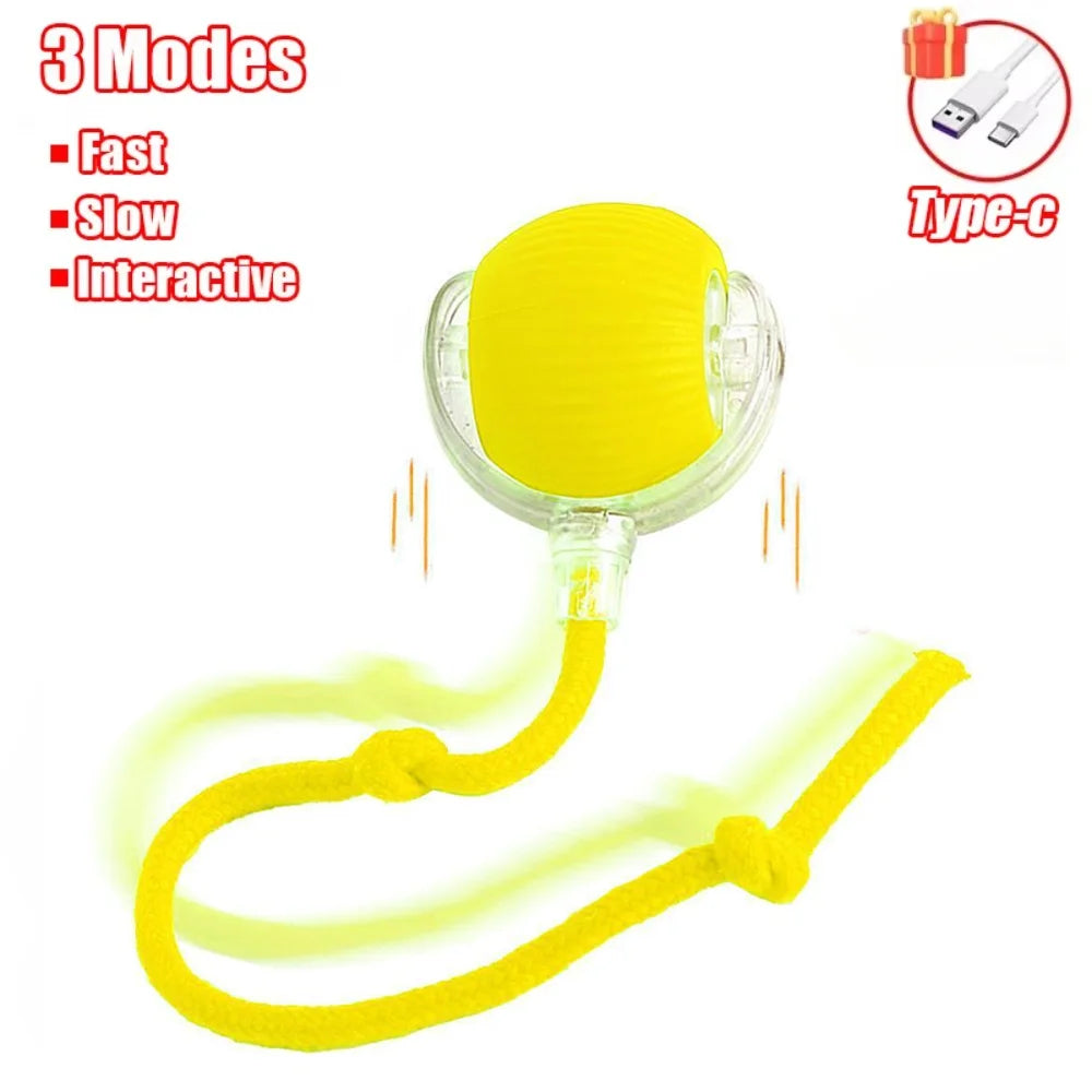 LEMEENQ Cat Interactive Ball Toy Auto Rolling Ball with Tail Rechargeable Smart Pet Interactive Toy Intelligent Mouse for Cat