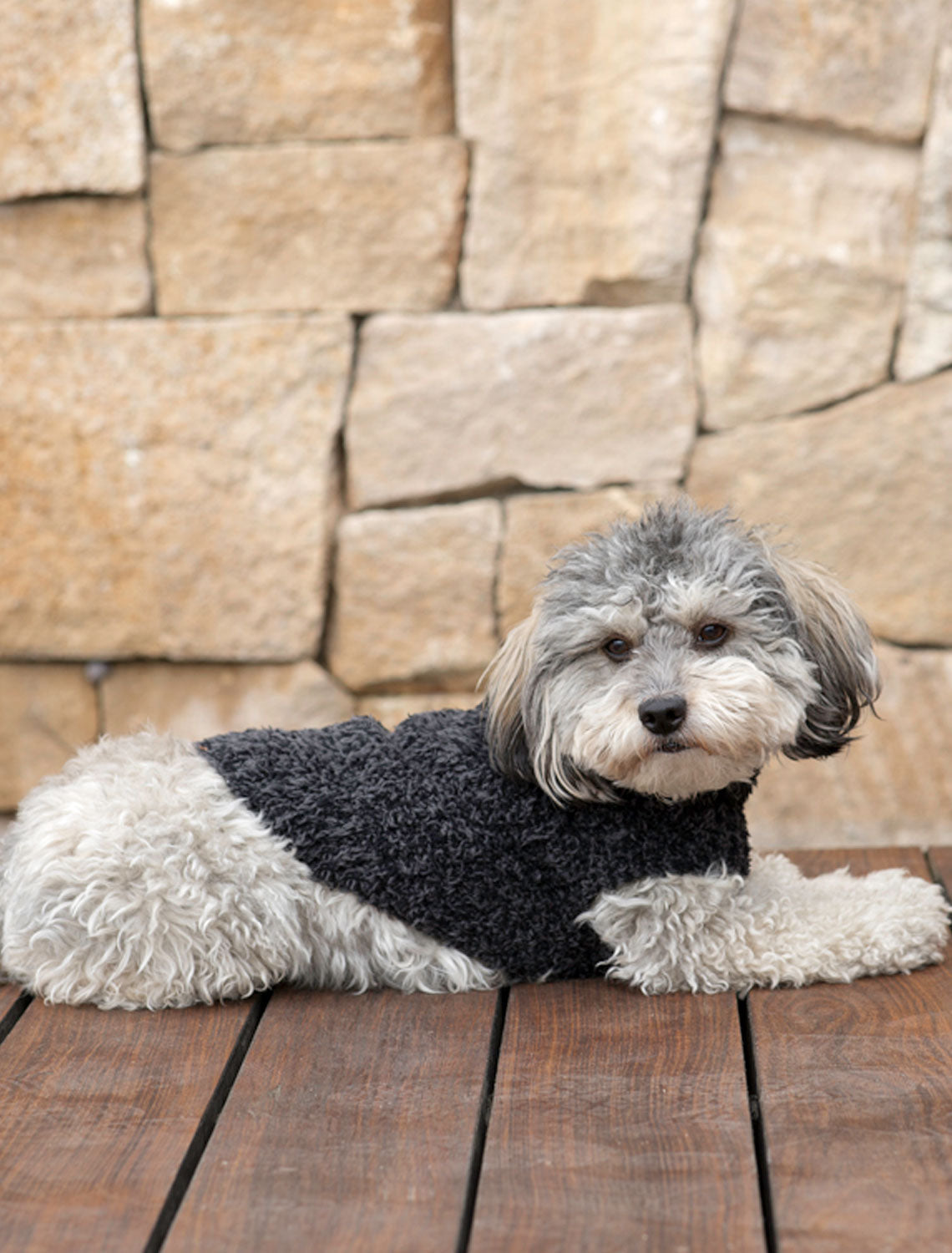 Barefoot Dreams CC Ribbed Pet Sweater Carbon Black