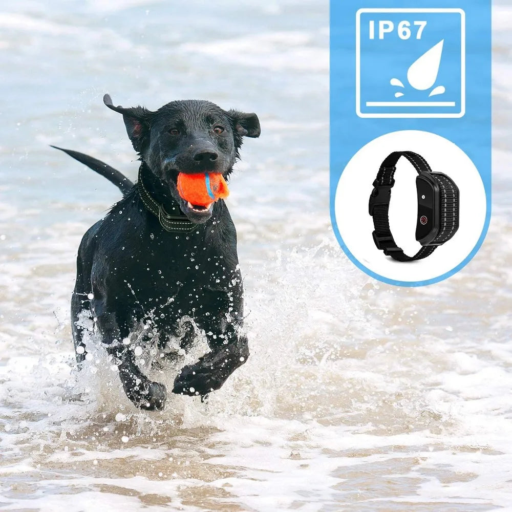 1000ft Pet Dog Training Collar with Remote Rechargeable Waterproof LCD Beep Vibration Shock Collar