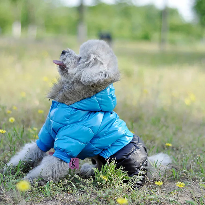 Winter Dog Clothes For Small Dogs Waterproof Soft Fur Hoodies Puppy Jacket Thicken Warm Puppy Pet Chihuahua Yorkie Pets Clothing